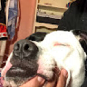 Meet your Posher, I xxcringequeenxx